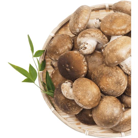 佃煮 ゆずと椎茸の佃煮 150g  ご飯のお供 しいたけ ごはん [和歌山県産柚子使用]　送料無料 |  | 01