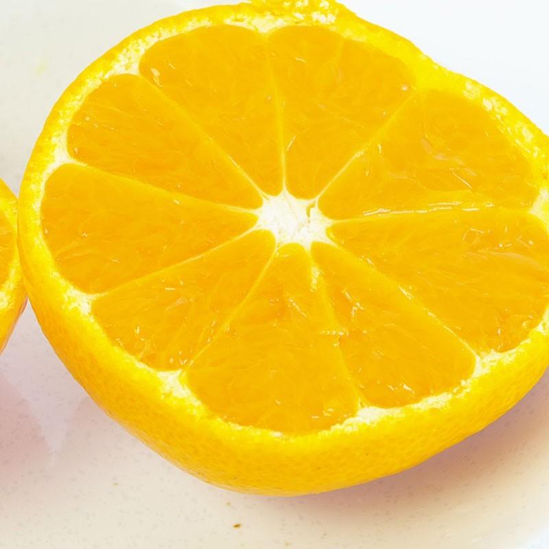 有田みかん 10kg 訳あり 和歌山県産 送料無料 ミカン 完熟 温州 |  | 02