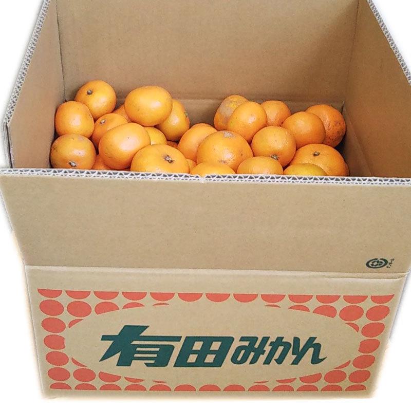 有田みかん 10kg 訳あり 和歌山県産 送料無料 ミカン 完熟 温州 |  | 03