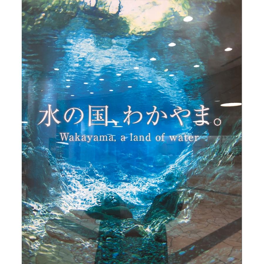 佃煮 ゆずと椎茸の佃煮 80g 柚子 ご飯のお供 お試しパック 送料無料 ポイント消化 |  | 07