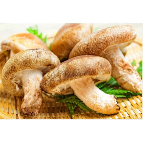 ゆずと椎茸の佃煮 プレミア 150g 柚子 ご飯のお供 しいたけ ごはん 和歌山県産 |  | 06