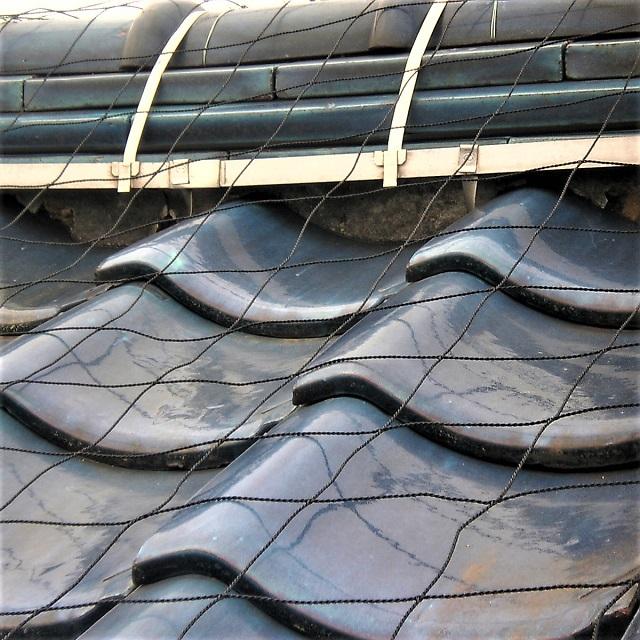 屋根瓦飛散防止用ネット 50号（5m×10m）24畳 : てんてんてん