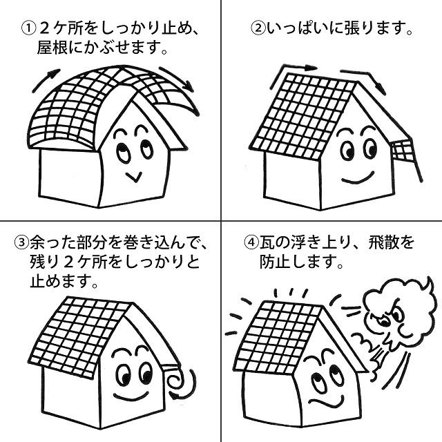 屋根瓦飛散防止用ネット 100号（10m×10m）48畳 : てん