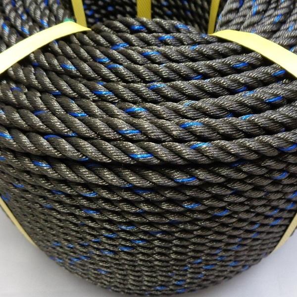 大手ECサイト ＰＥロープ９ｍｍ×２００ｍ黒 www.lsansimon.com