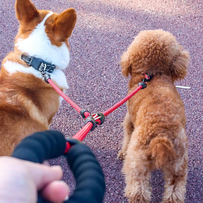 送料無料 犬用 ダブルリード 二頭引き 犬 2匹 多頭用 リード 丸ひも 絡まない ナスカン 持ちやすい 丈夫 軽量 引き紐 小型犬 中型犬 ...