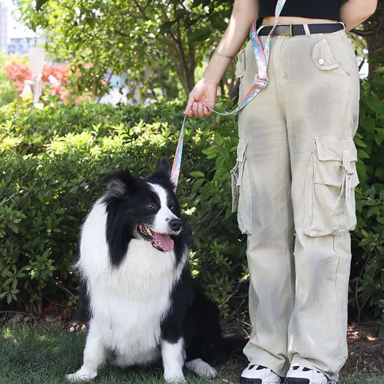 サイズ調節 犬用 ショルダーリード 犬 迷子防止 肩掛け ペット