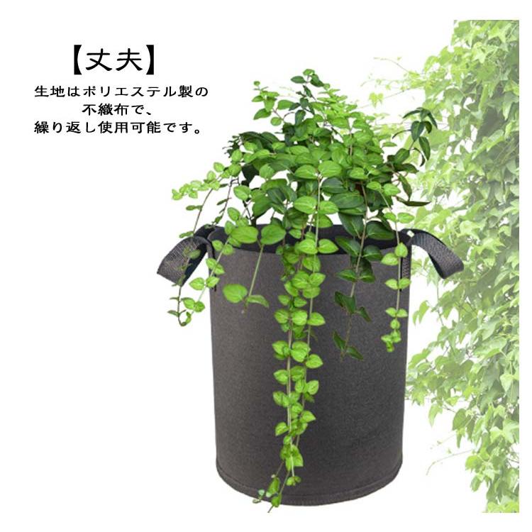 野菜 折りたたみ 不織布プランター 【6個セット】 鉢植え プランター