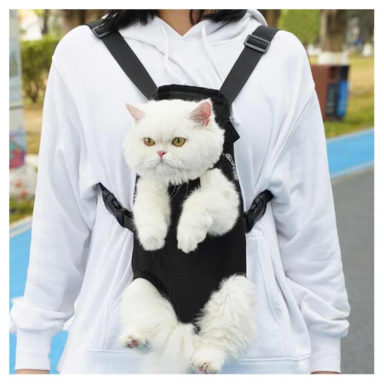 お散歩 小型 犬 プレゼント ペットキャリーケース 犬猫用 ペット