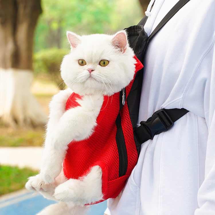 ペット用 スリング 犬 猫 お散歩グッズ 抱っこ紐 キャリーバッグ おまけつき お散歩 小型 犬 プレゼント ペットキャリーケース 犬猫用 ペット