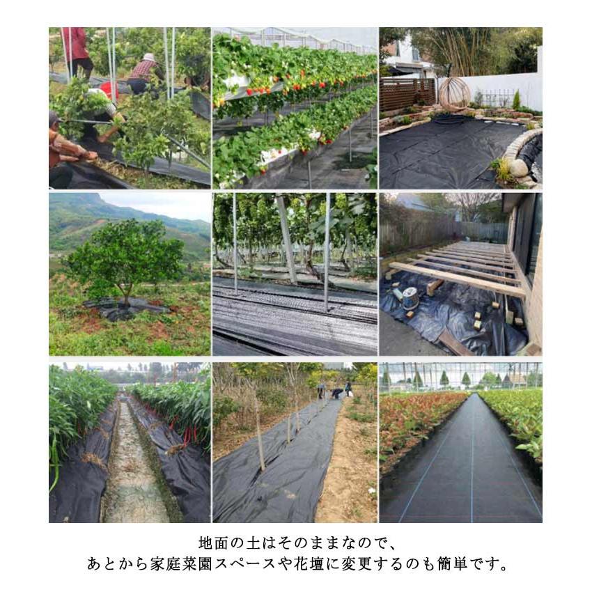 防草シート 駐車場 田んぼ 畑 休耕田 pp 0.5m×200m 雑草 シート 雑草