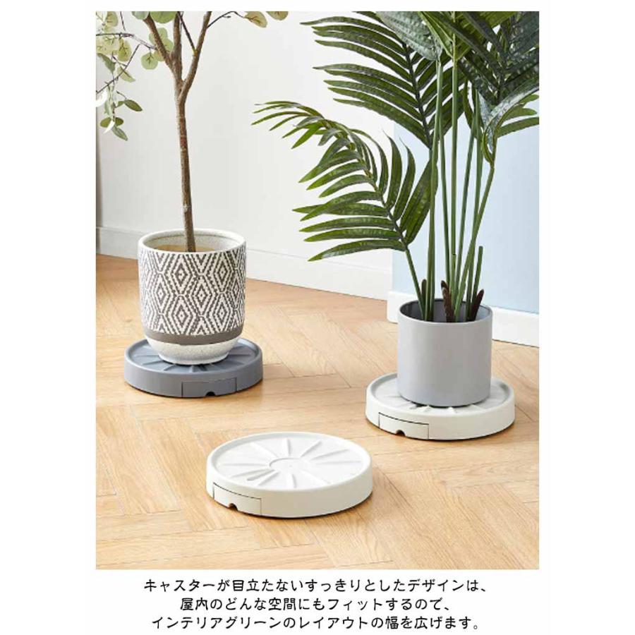 キャスター付き 鉢台 鉢置き 排水できる 鉢受台 鉢置台 排水トレー付き