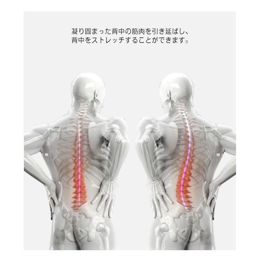 腰 ストレッチ 器具 背中 ストレッチャー バック 姿勢改善 背筋 筋肉