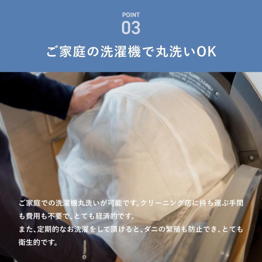 TENTIAL（テンシャル） 【公式】(旧モデル) BAKUNE Bed Pad Warm