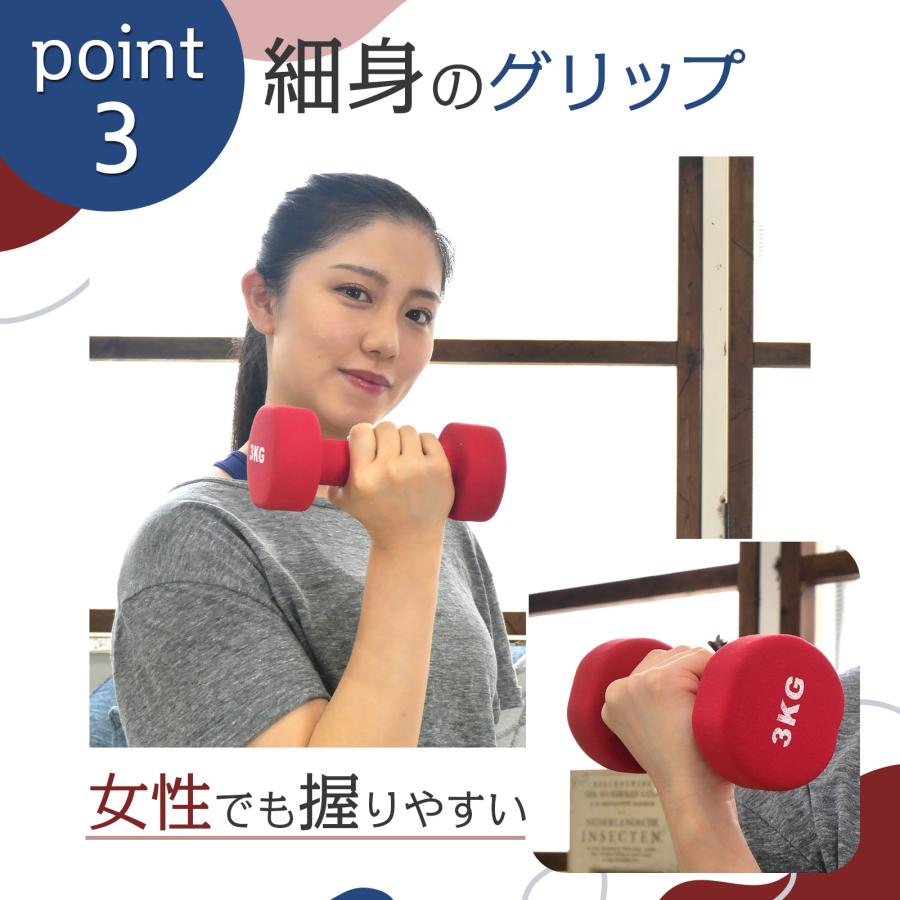 TOP FILM 【在庫限り】ダンベル 鉄アレイ 1kg 2個セット カラー