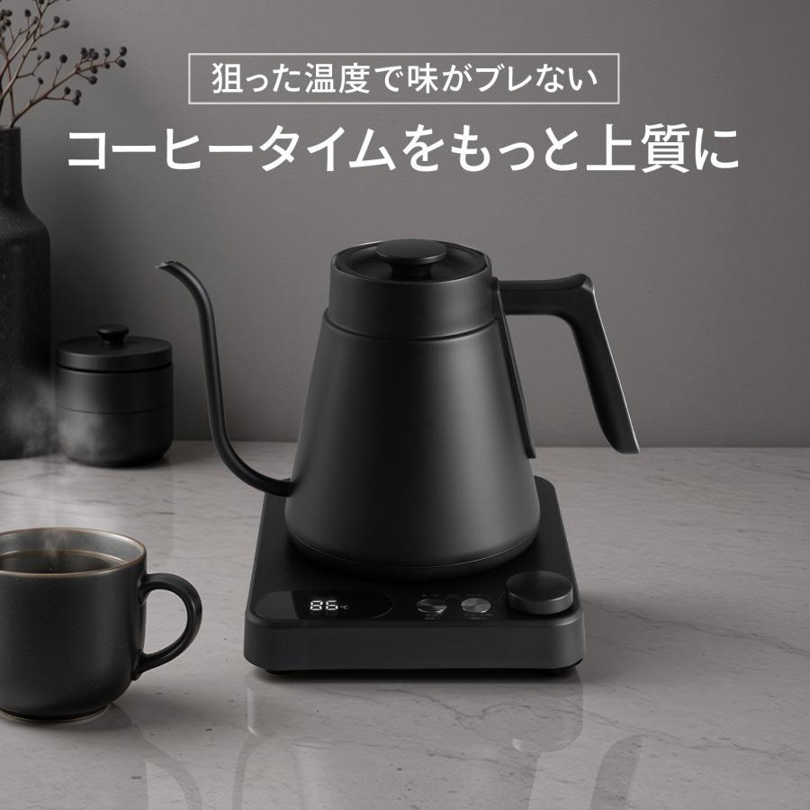 ONE STEP 電気ケトル ステンレス 温度調節 小型 1L コーヒーケトル