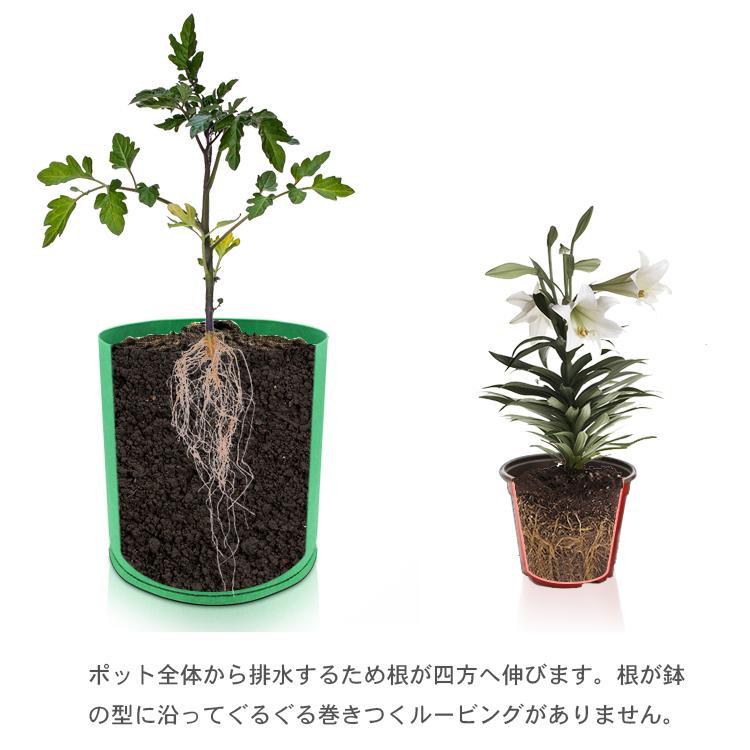 不織布ポット 高い 5ガロン ５個 30x30cm 深鉢 不織布プランター 10号 植木鉢 大型 軽い 軽量 フェルト 布鉢 黒 家庭菜園 おしゃれ 鉢｜tentou-1010｜06