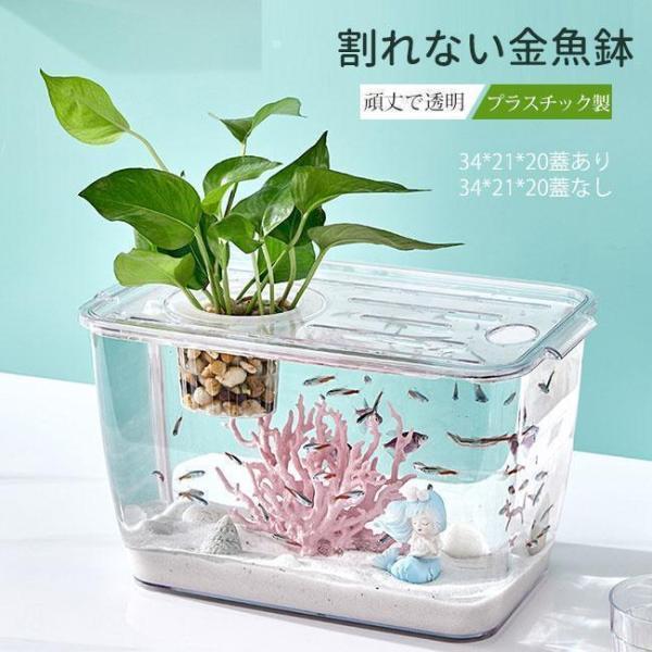 金魚鉢 メダカ 透明 水槽 花瓶 アクアリウム ボトルアクアリウム バブルボウル ボトルテラリウム 苔テラリウム コケリウム | ブランド登録なし