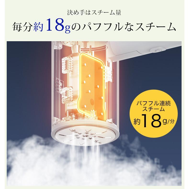 スチームアイロン ハンガーにかけたまま 衣類スチーマー スチームアイロン ハンガーにかけたまま 衣類スチーマー