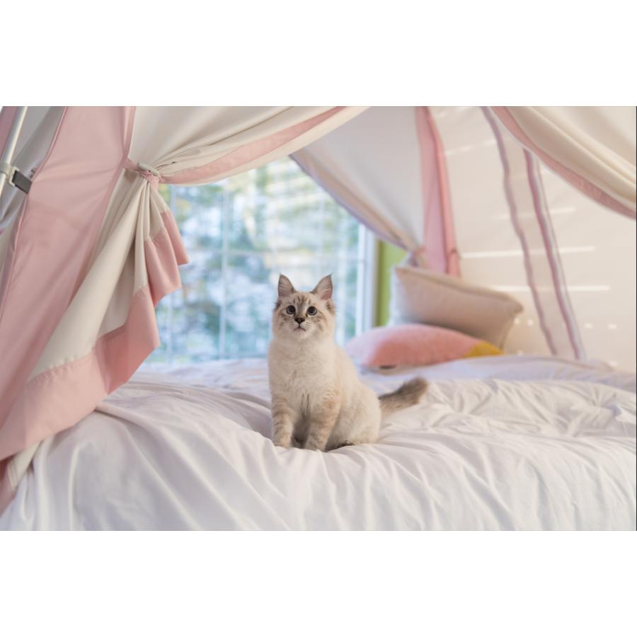 暖房テント 室内テント 温活 快眠 防寒 節電 コットン質感 洗える 3ドアSサイズ こどもテント コンパクト収納 防災テント 災害 避難所 DDASUMI タスミ |  | 01