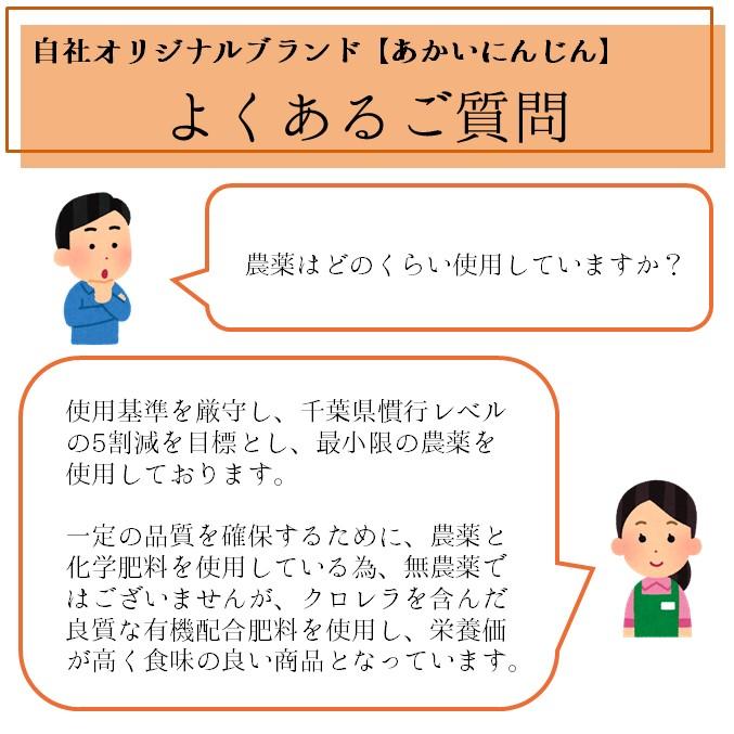 にんじん　ニンジン　人参　千葉県産　自社農場　産地直送で新鮮　自社製造のこだわり有機肥料で食味・栄養価アップ　約10kg　｜tenupfarm｜06