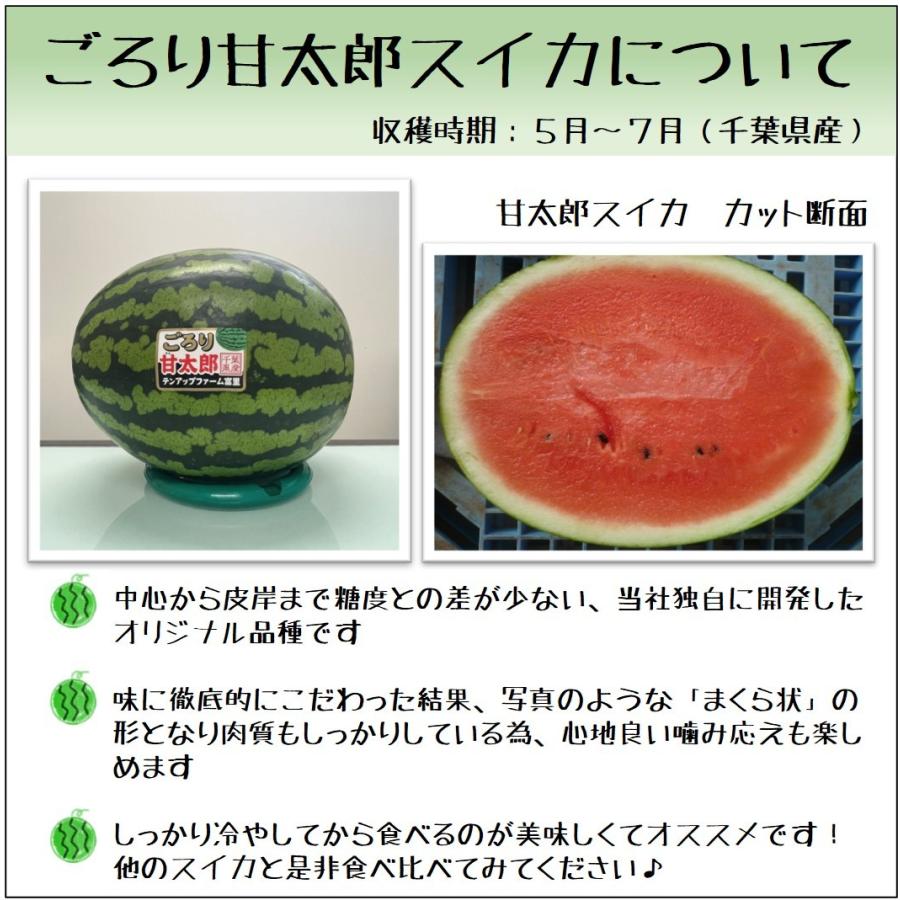 すいか スイカ 西瓜 千葉県富里市産 産地直送 皮岸まで甘い高級ブランド ごろり甘太郎スイカ 1玉 2lサイズ Tf 006 株式会社テンアップファーム 通販 Yahoo ショッピング