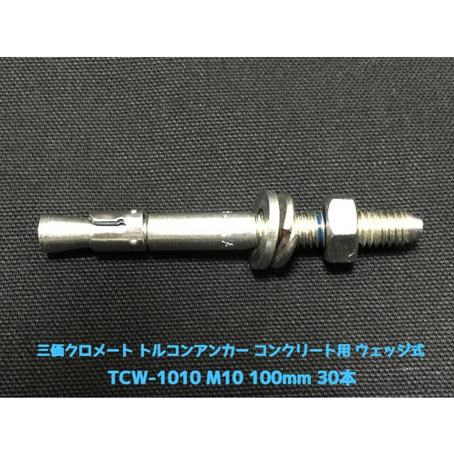 サンコーテクノ トルコンアンカー TCW-1010 M10 全長100mm 30本