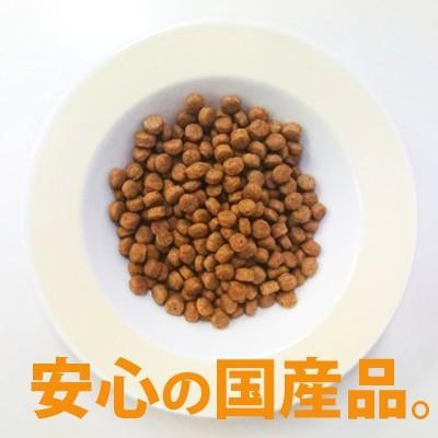 送料無料　YKエンタープライズ　国産　ADV plus　ブリーダーズドッグフード　２０ｋｇ（１０ｋｇ×２袋）総合栄養食　全犬種用【送料無料・同梱不可】