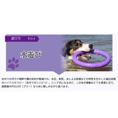 ディア・チルドレン　PULLER　MICRO　プラー ミクロ　極小サイズ　超小型犬・小型犬用　犬用　おもちゃ　＊202移｜tepec｜05