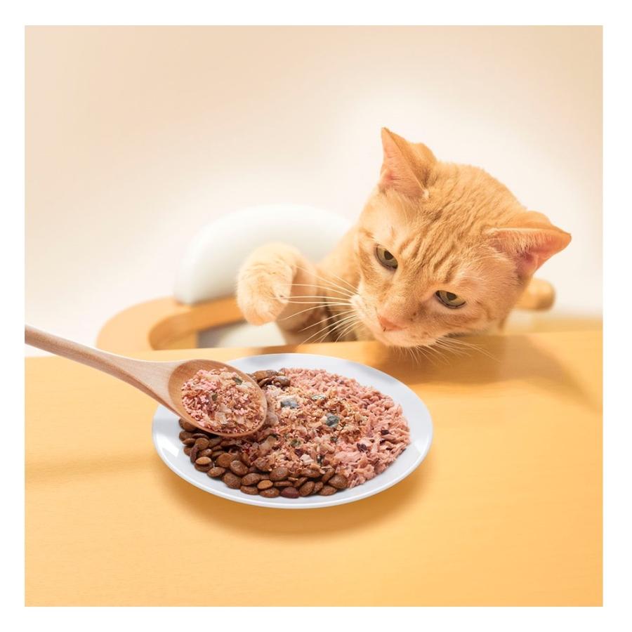 はごろもフーズ ねこふり さけ味 15ｇ 国産 猫用 ふりかけ 間食 