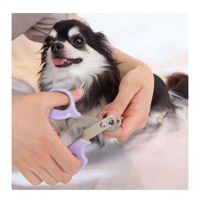 Pet's Route やさしい犬用爪切り 超小型〜中型犬用 ペッツルート やさしい犬用爪切り【超小型犬〜中型犬 犬用 猫用 お
