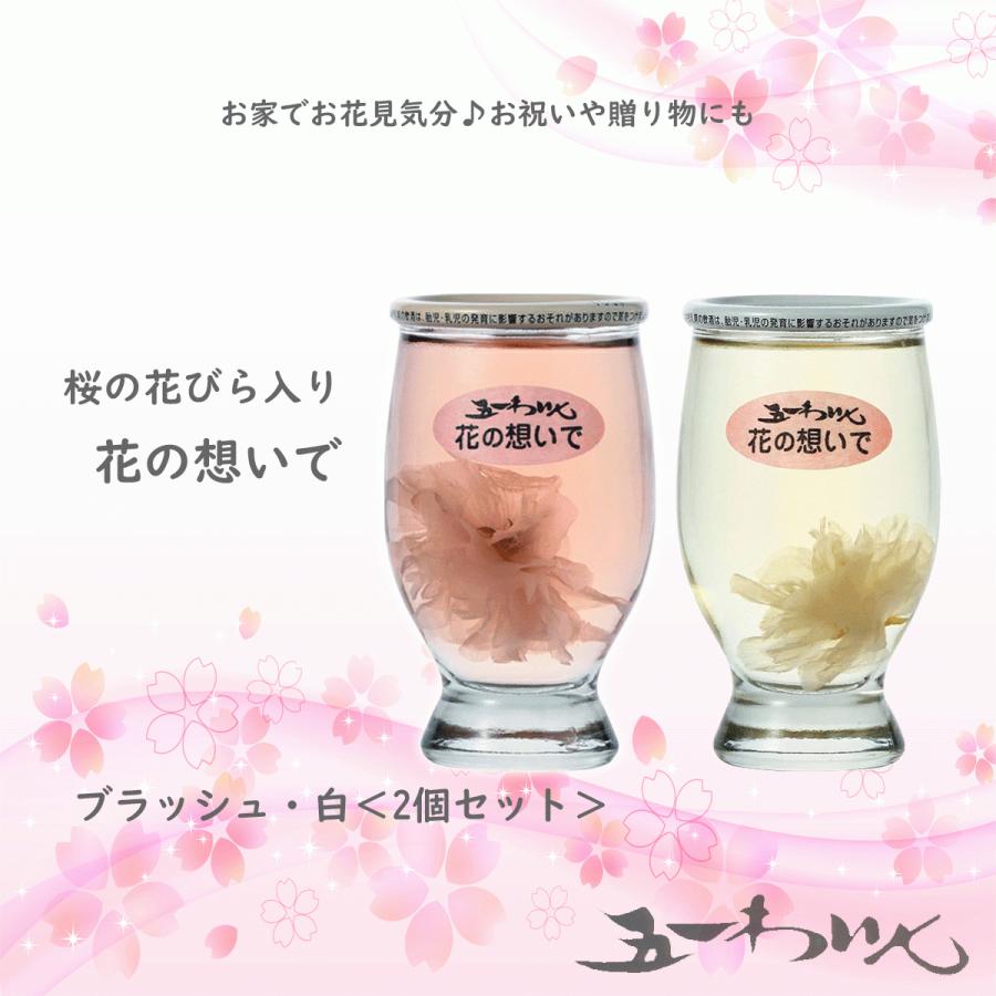 五一ワイン 花の想いで ロゼ 白 2個セット 1ml ２ カップワイン 桜入り 春限定ギフト お祝い 母の日 桜ワイン お花見 花びらワイン 51 rs てっぱ Japan 通販 Yahoo ショッピング