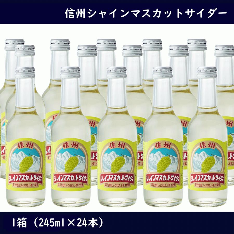 友桝飲料 信州シャインマスカット サイダー245ml瓶×2ケース（全48本）送料無料