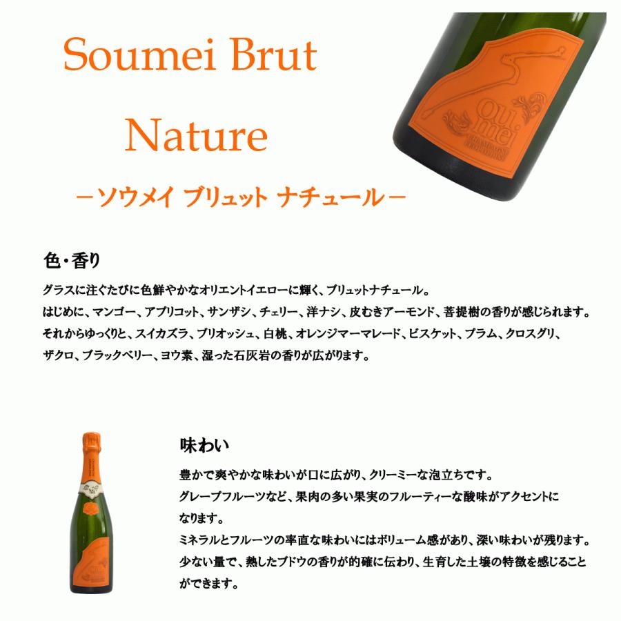 Soumei Brut Nature ソウメイ ブリュット ナチュール 750ml Soumei Brut Nature ソウメイ ブリュット ナチュール 750ml