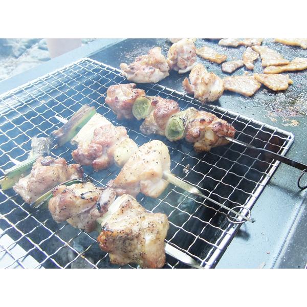 ZEOOR（ゼオール） 極厚バーベキュー鉄板 グリルプレート キャンプ