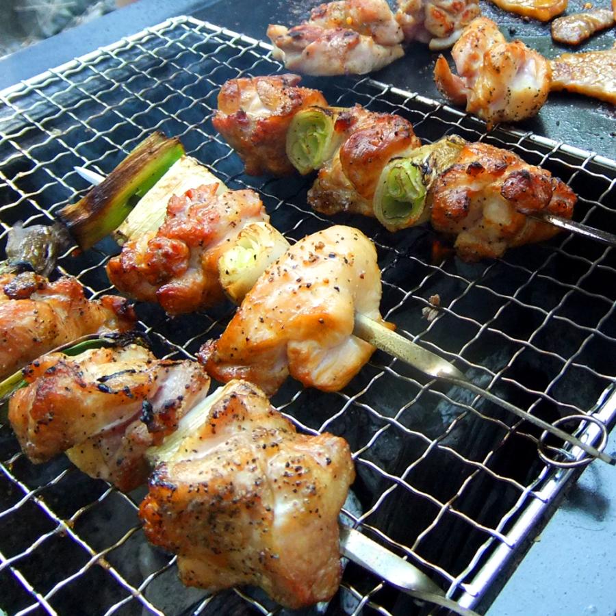 ZEOOR（ゼオール） 焼き網 ステンレス 交換用 95×190mm 18-8ステンレス