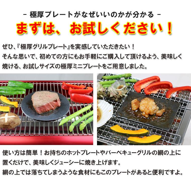 ZEOOR（ゼオール） 極厚鉄板 ミニプレート ソロキャンプ BBQ
