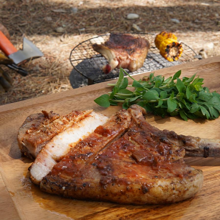 ZEOOR コールマン ファイアーディスク ファイアーディスクソロ