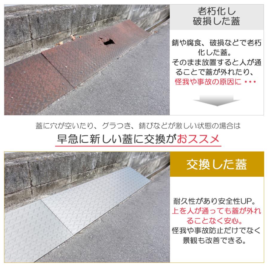 側溝 蓋 カバー ステンレス 縞板 Bタイプ 溝幅360mm用 長さ600mm 側溝