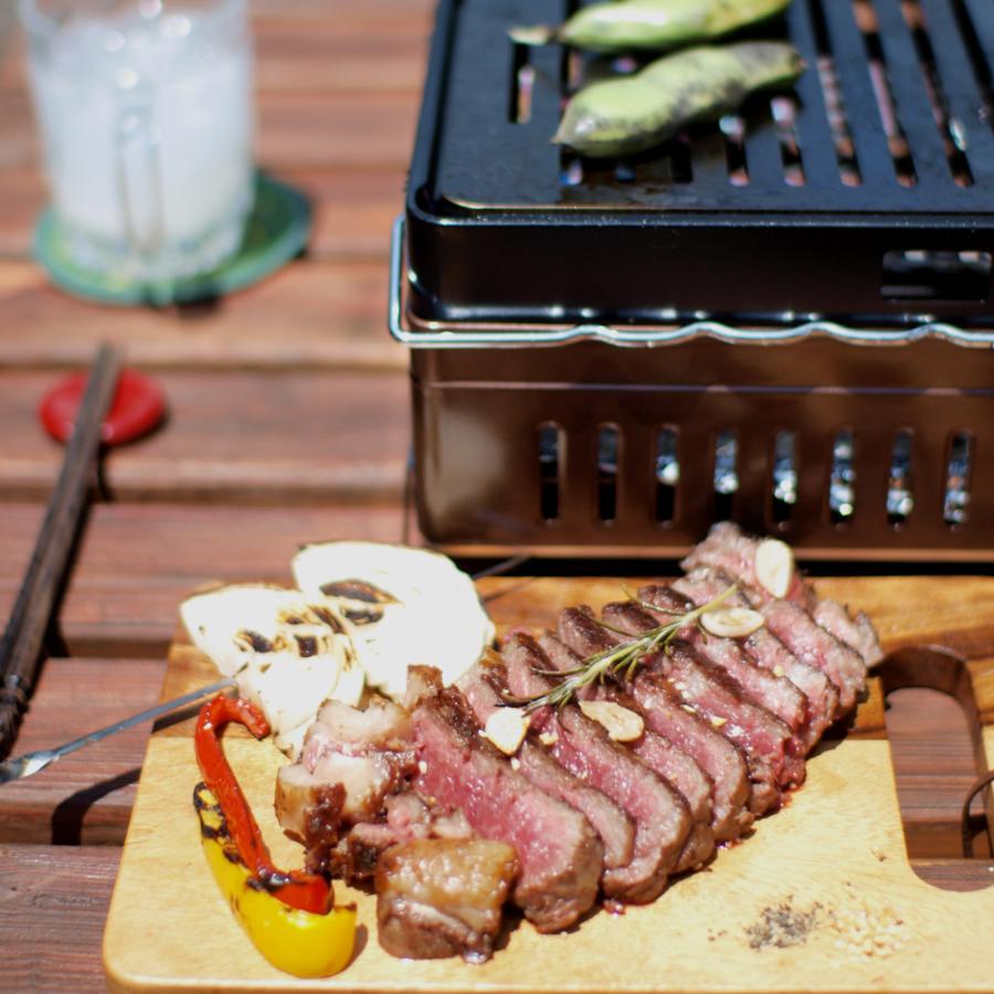 ZEOOR（ゼオール） イワタニ 炉ばた焼器 炙りや / 炙りやII 専用