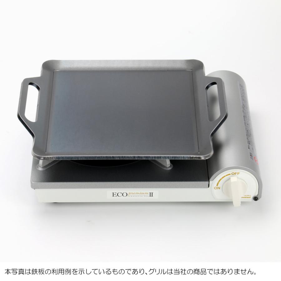ZEOOR（ゼオール） 雅プラス アモルフォプレミアム エコプレミアムii