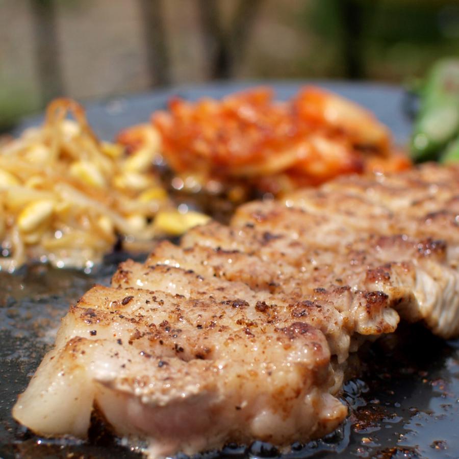 ZEOOR イワタニ 焼肉プレート L 対応 極厚 鉄板 6mm : 鉄板広場 ZEOOR イワタニ 焼肉プレート L 対応 極厚 鉄板 6mm : 鉄板広場
