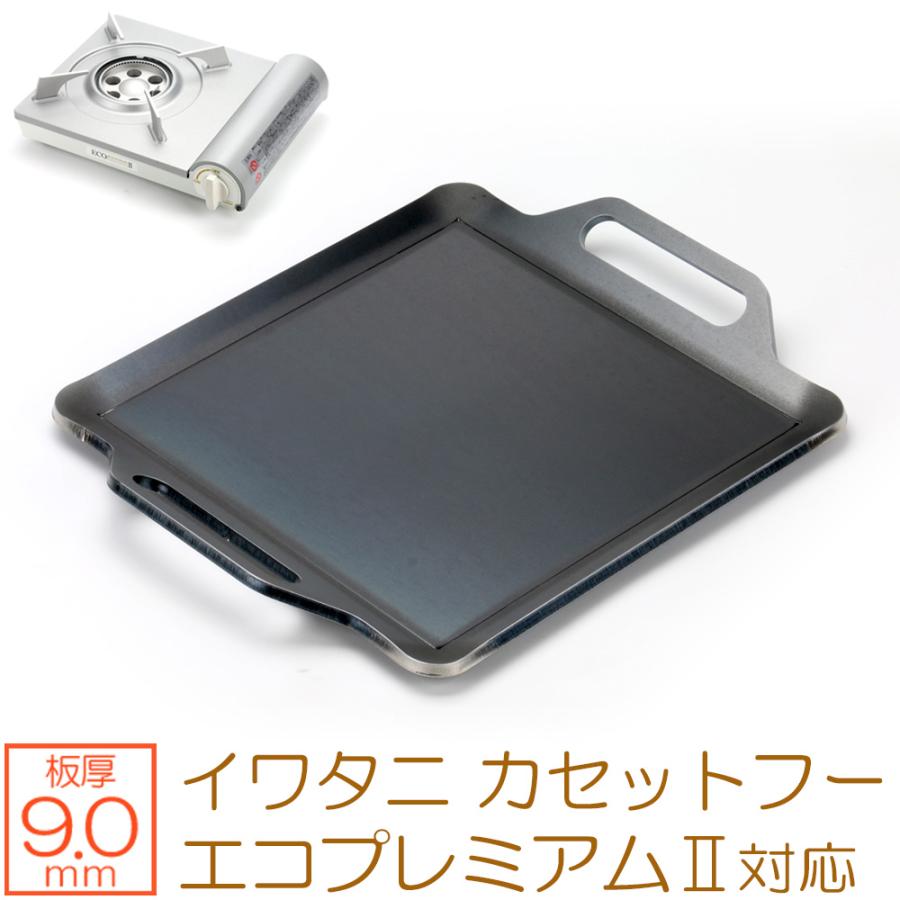 ZEOOR（ゼオール） 雅プラス アモルフォプレミアム エコプレミアムii
