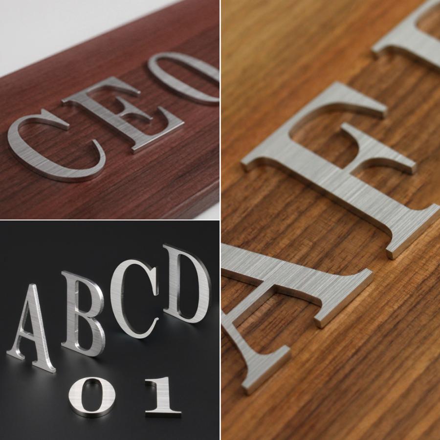 ステンレス 切り文字 明朝体 表札 看板 ドアサイン ネームプレート