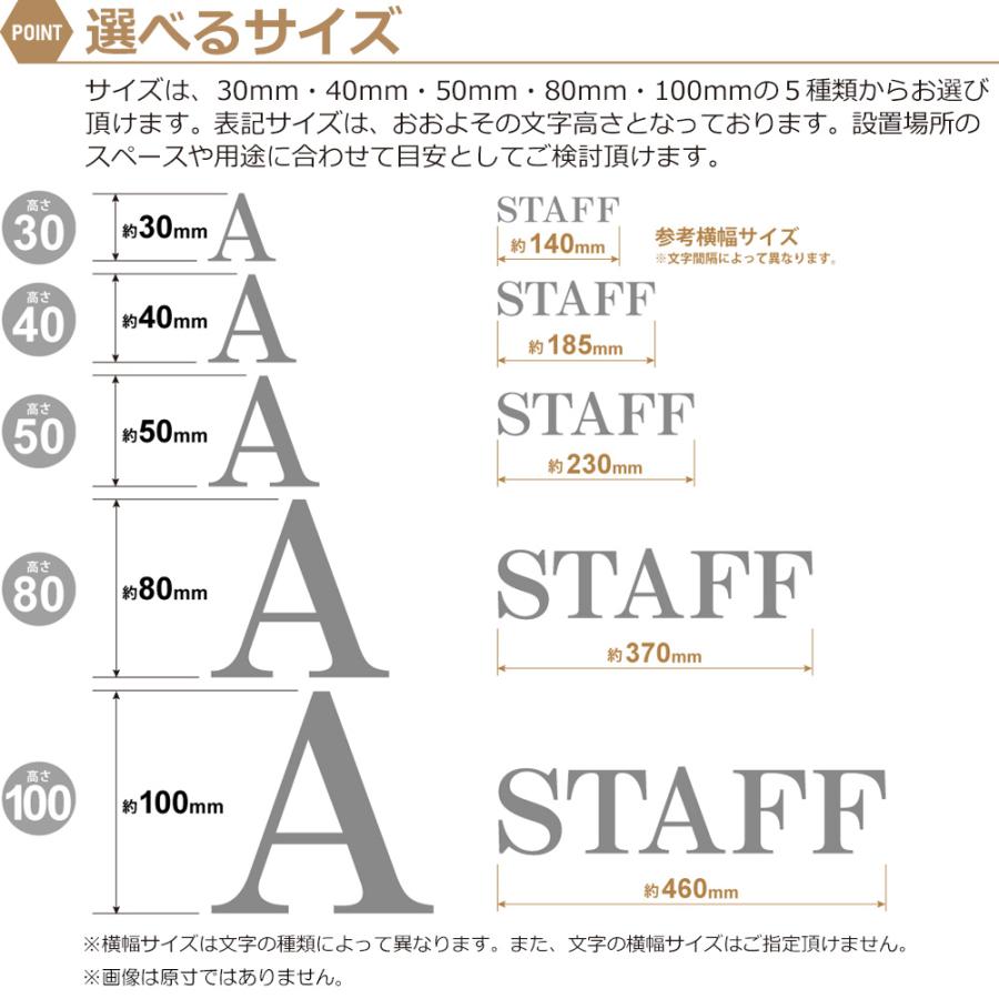 ステンレス 切り文字 明朝体 表札 看板 ドアサイン ネームプレート