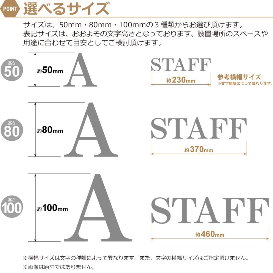 ステンレス 切り文字 明朝体 表札 看板 ドアサイン ネームプレート