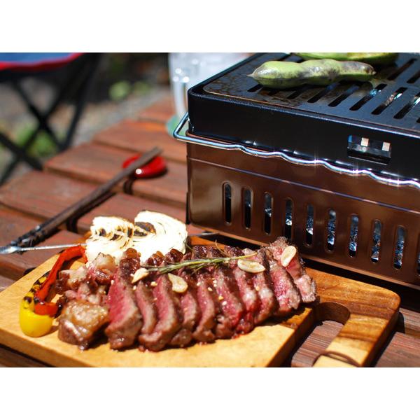 ロゴス LOGOS the ピラミッドTAKIBI XL 対応 極厚バーベキュー鉄板