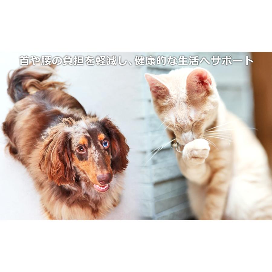 犬 猫 ペット用 食器台 ステンレス フードボウル スタンド ペット 食器皿 おしゃれ 台座 高さ調整 |  | 02