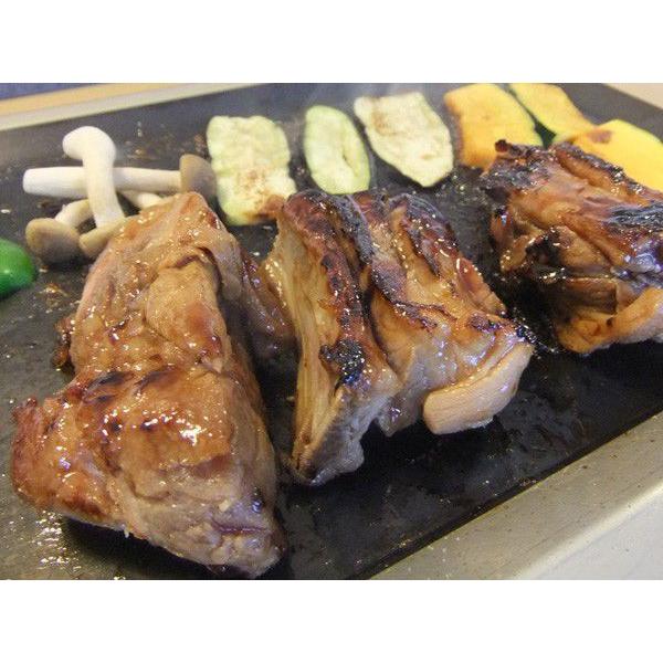 ZEOOR（ゼオール） 極厚バーベキュー鉄板 サン・フィールド（ホンマ