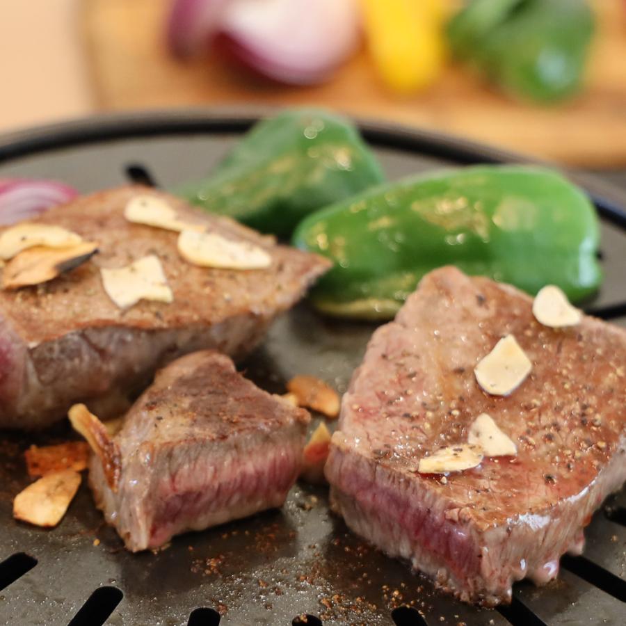 ZEOOR（ゼオール） snow peak 鉄板焼 エンバーナー ((株)スノーピーク