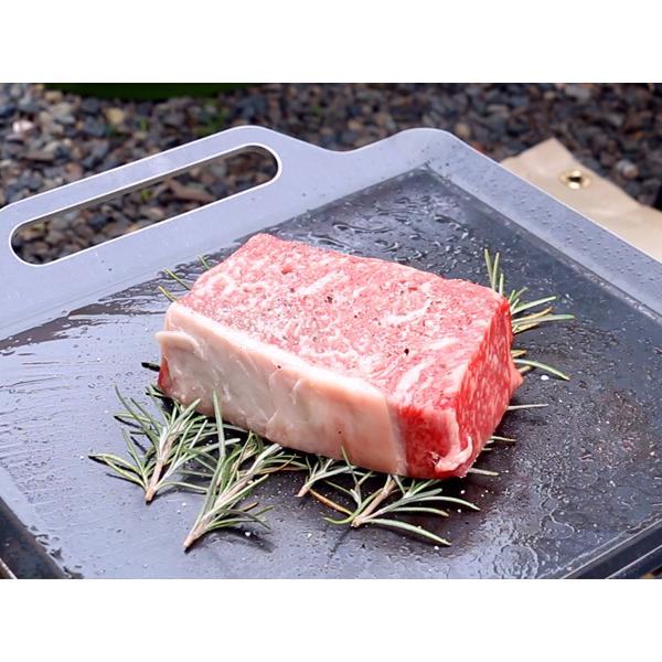 極厚バーベキュー鉄板 ユニフレーム Ufタフグリル Sus 600専用グリルプレート 板厚6 0mm Un60 鉄板広場 通販 Yahoo ショッピング